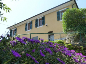 Casa dei Fiori